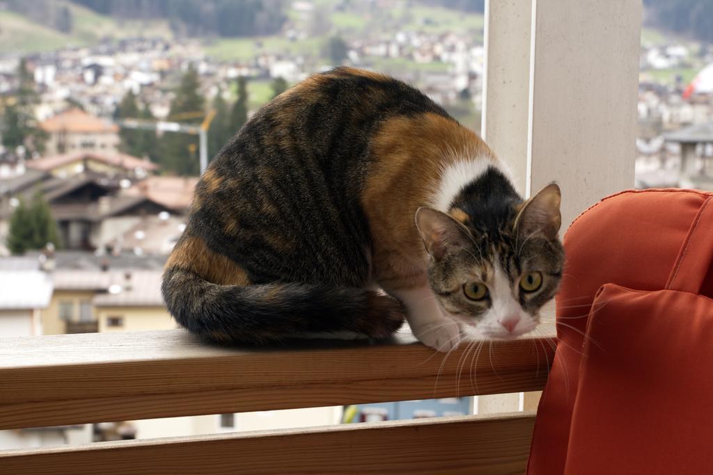 피에라디프리미에로 Minavill La Casa Sulle Dolomiti B&B 외부 사진
