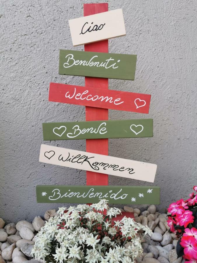 피에라디프리미에로 Minavill La Casa Sulle Dolomiti B&B 외부 사진