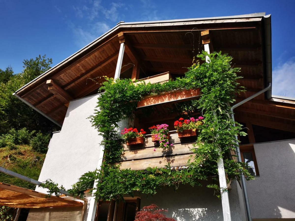 피에라디프리미에로 Minavill La Casa Sulle Dolomiti B&B 외부 사진